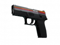 P250 Cassette